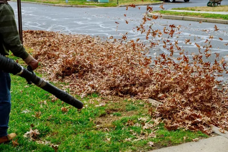 Cleanup-RW