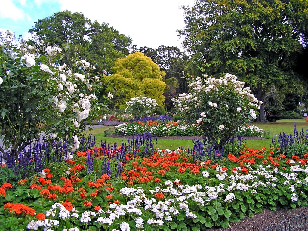Dunedin Garden